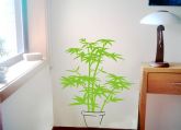 Vaso com Planta
